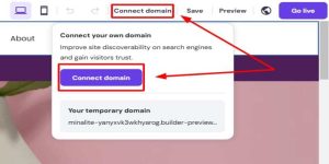 Steps to Connect Domain to Hosting