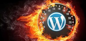 Choosing a High Speed WordPress Server: Shared vs. Dedicated vs. Cloud