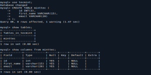 Pros and cons of relational systems when choosing to setup database environments